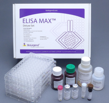 ELISA MAX-ANATOLYKA-IMAGE