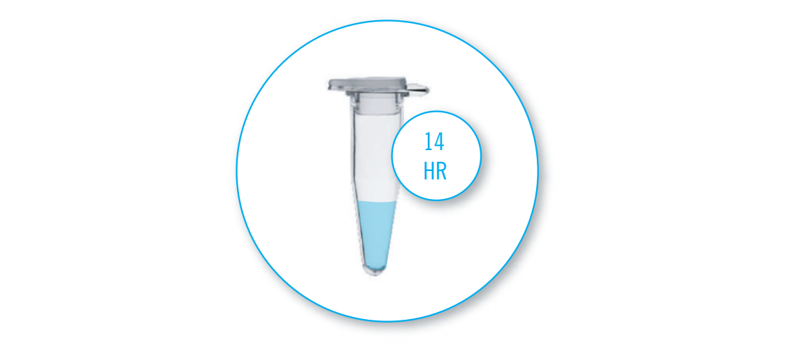 HPV Screening Real Time PCR kit