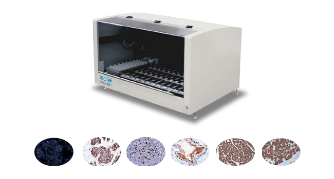 Automation-for-Immunohistochemistry-product